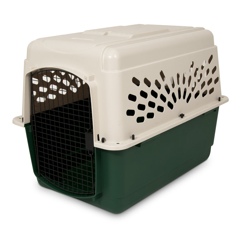 Ruff Maxx Plastic Dog Pet Carrier & Reviews Wayfair
